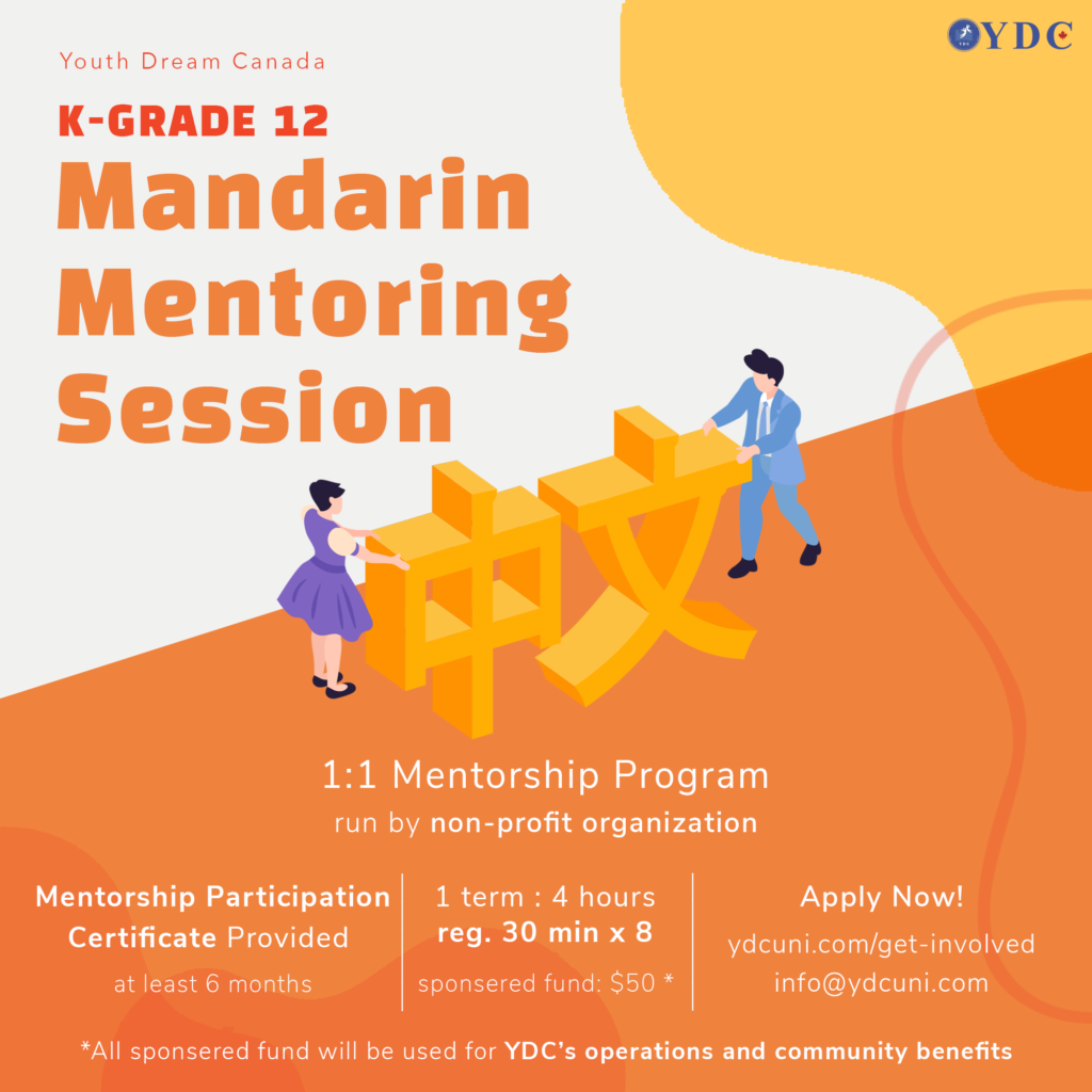 Mandarin Mentoring Session